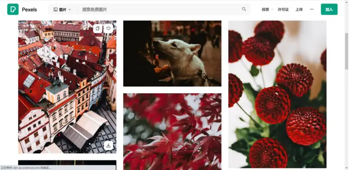 介绍个信用网网址_从哪可以下载高清无水印视频素材呢介绍个信用网网址?介绍几个高清视频素材下载网