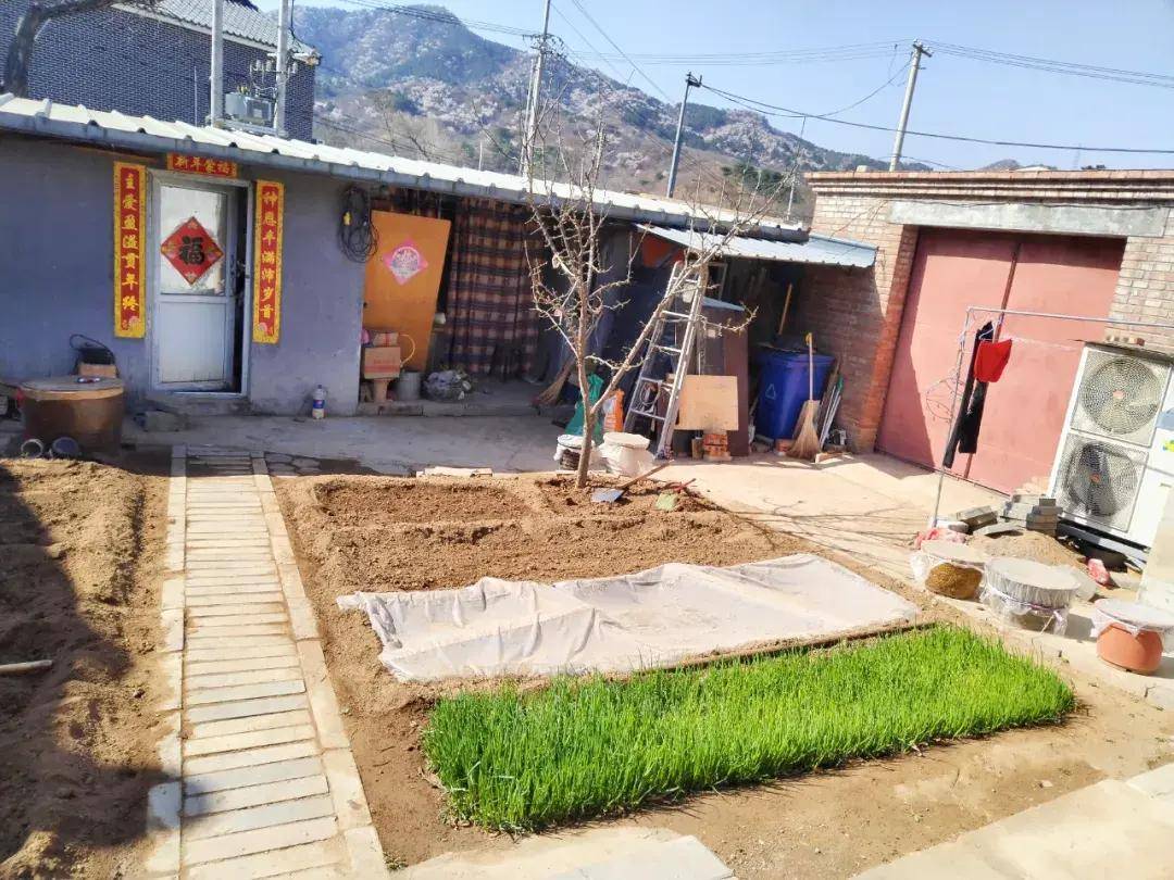 皇冠信用网平台出租_全国统一的农村房屋出租信息平台建成皇冠信用网平台出租,北京农房出租数量最多