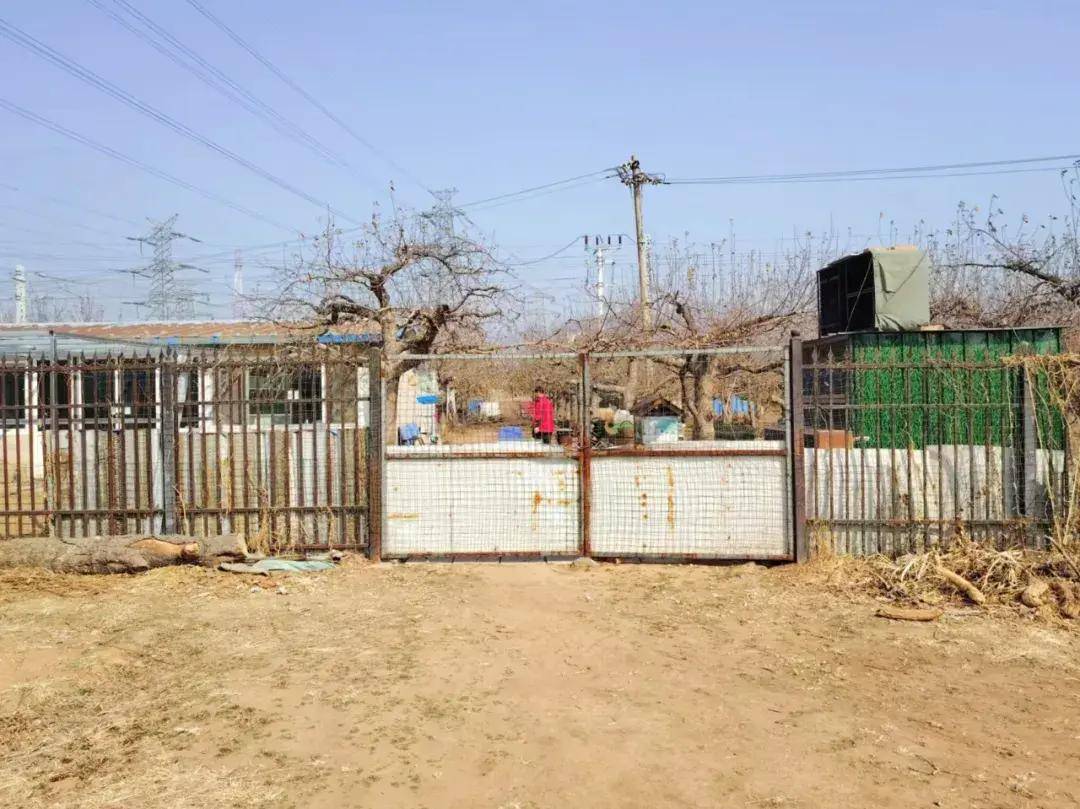 皇冠信用网平台出租_全国统一的农村房屋出租信息平台建成皇冠信用网平台出租,北京农房出租数量最多