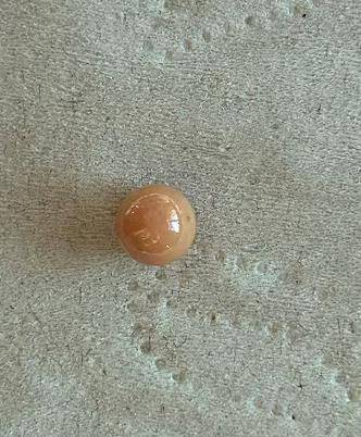 皇冠信用网如何注册_极为罕见!大连渔民吃海螺时皇冠信用网如何注册,竟然吃出……