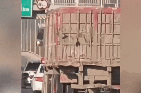 皇冠hga039_北京北五环一大货车随意连续变道皇冠hga039,“狂飙”逃窜!驾驶员被刑拘