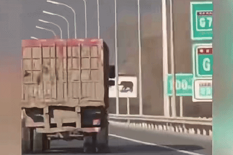 皇冠hga039_北京北五环一大货车随意连续变道皇冠hga039,“狂飙”逃窜!驾驶员被刑拘