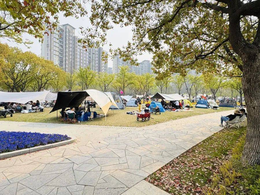 皇冠信用盘代理申请_事发上海！有人被割伤皇冠信用盘代理申请，密密麻麻！世博文化公园5月1日起禁止