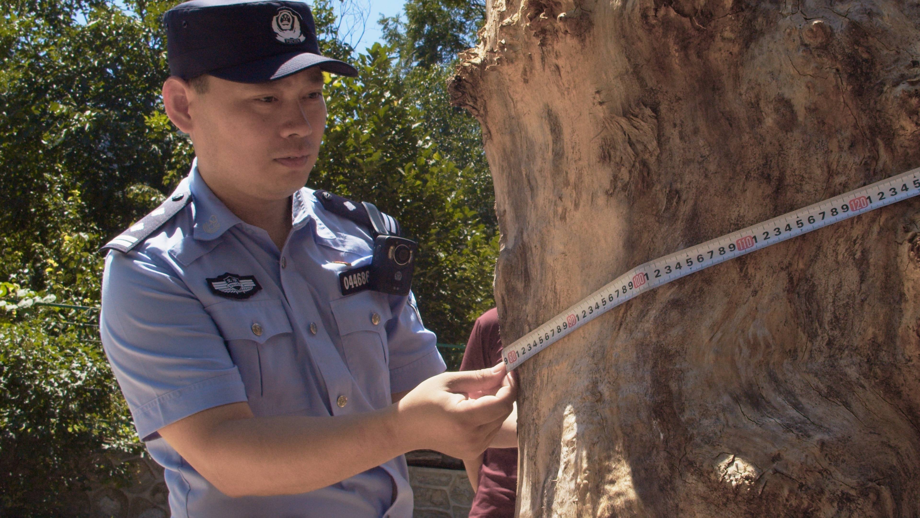 皇冠皇冠信用网代理_森林警察韩孟祺：乔装成驴友潜伏密林中皇冠皇冠信用网代理，抓获“粘鸟”嫌疑人