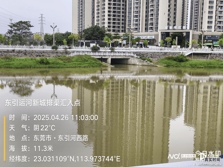 皇冠信用网出租
_东莞寒溪河出现大片死鱼皇冠信用网出租
!官方回应:天气原因