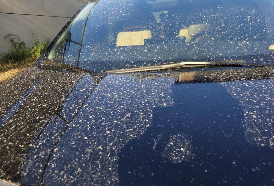 皇冠信用網登2登3_昨晚这场暴风骤雨皇冠信用網登2登3，让济南很多车辆变成“大花脸”