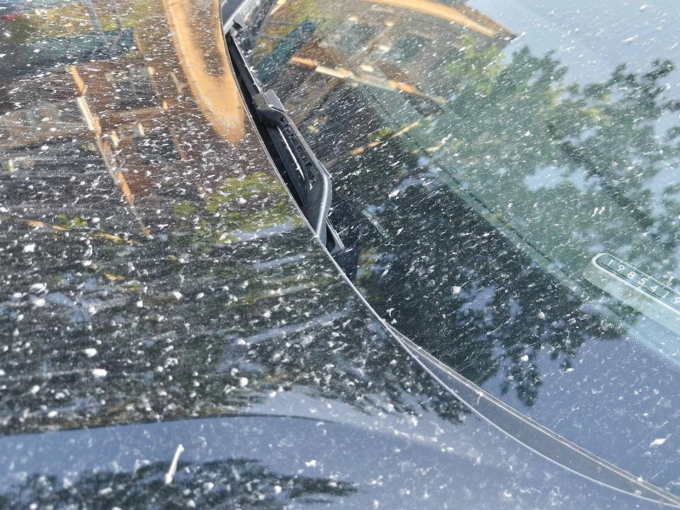 皇冠信用網登2登3_昨晚这场暴风骤雨皇冠信用網登2登3，让济南很多车辆变成“大花脸”