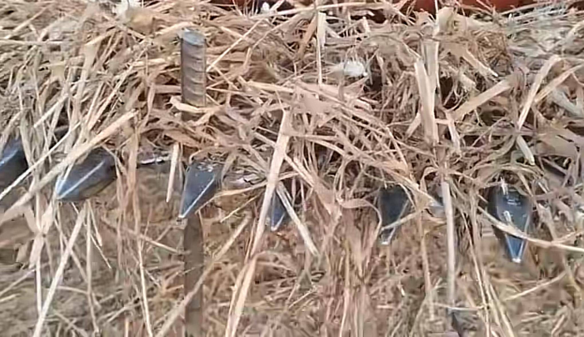 皇冠体育App下载_河北邯郸一处麦田被投放金属尖锐物致收割机受损皇冠体育App下载！警方已立案