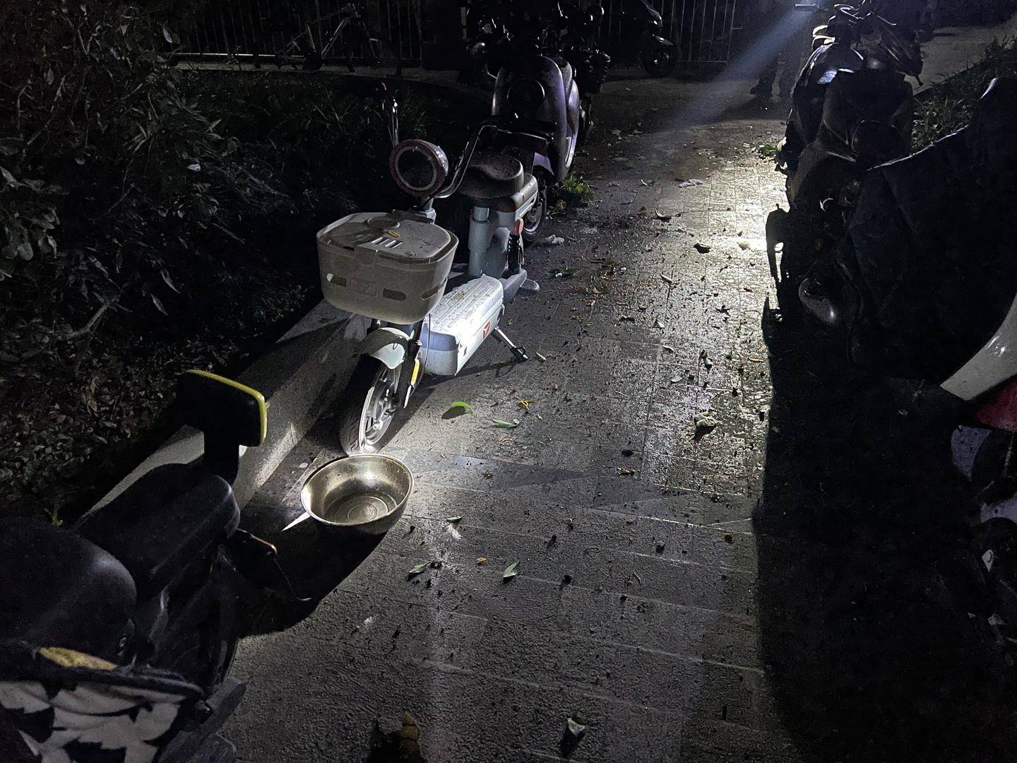 怎么开皇冠信用盘
_男子与朋友吃酒起争执怎么开皇冠信用盘
,竟从10楼扔下绿萝、兰花和不锈钢盆,被刑拘