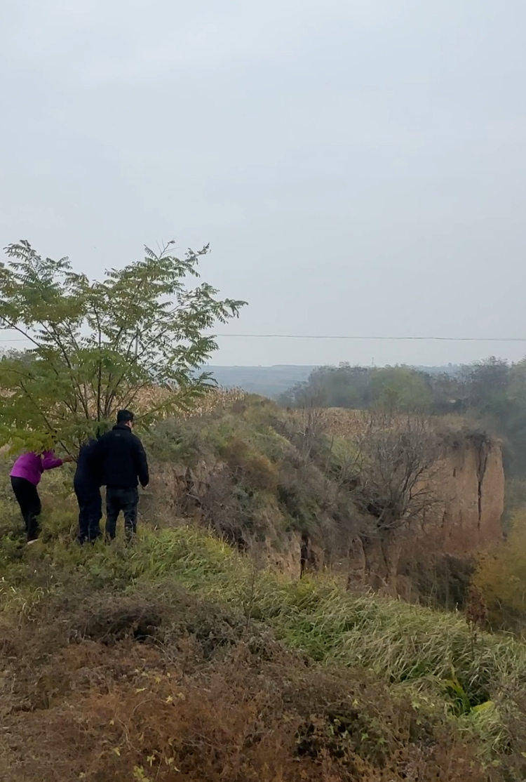 皇冠信用登3代理_陕西咸阳一男子打晕妻子误以为已死皇冠信用登3代理，将人扔下土崖致其死亡被公诉