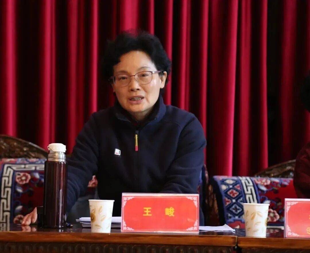 皇冠ag mos033_打虎皇冠ag mos033！王峻任上被查